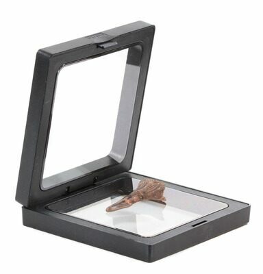 Picture frame deals display case